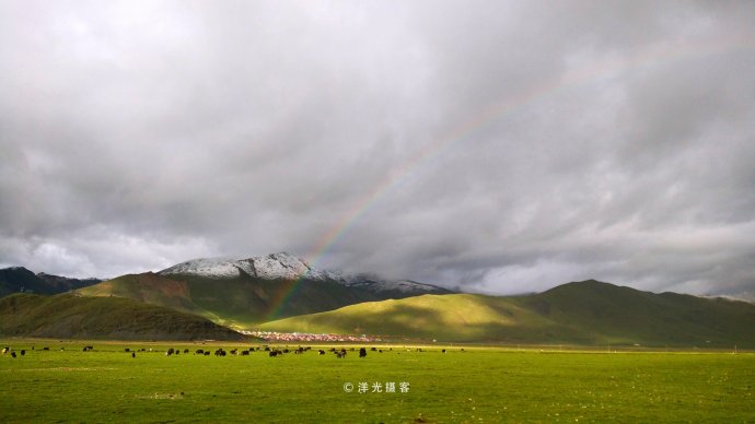 主人把一年中最珍贵的食物都捧出来招待客人了 客人一看却直打颤