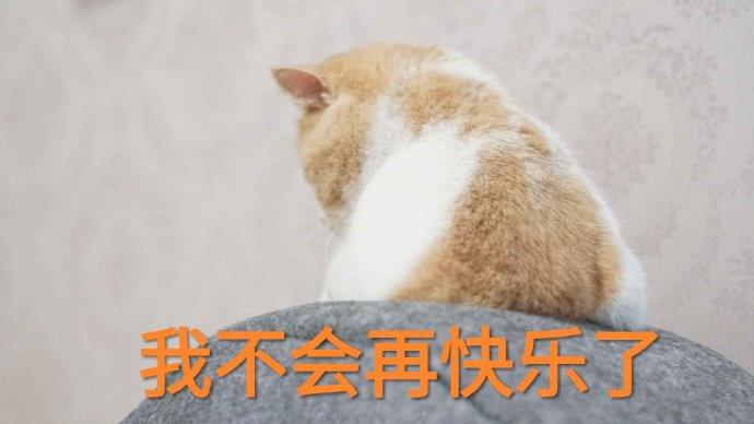 我不会再快乐了
