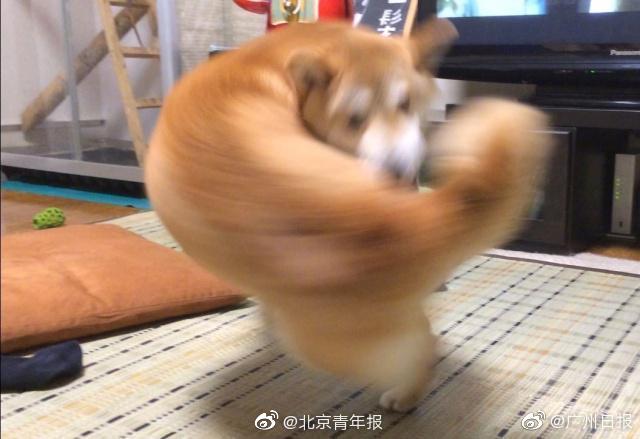 小心胎儿宫内窘迫!孕期脑瘫可就出大事儿了