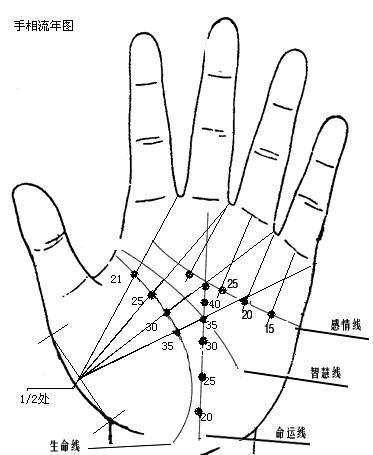 手相上的成功线笔直直上太阳丘名望事业双丰收
