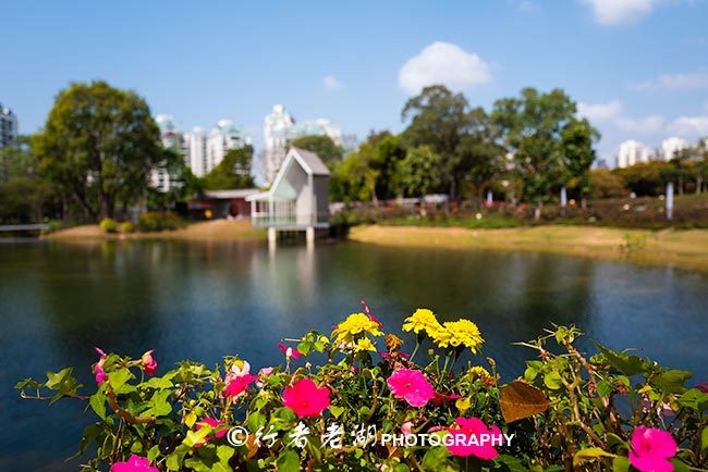 最美婚姻登記處，尚未開張，已帶紅一個(gè)都市小公園