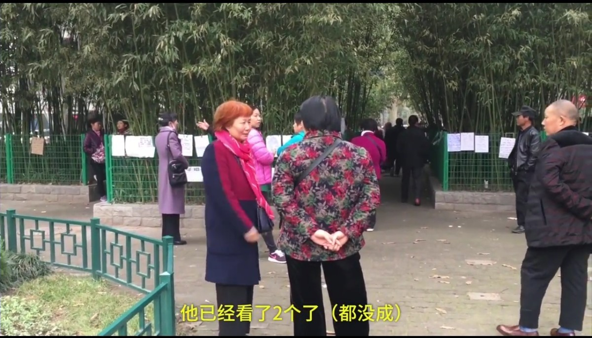 母爱如山！善良母亲为儿征“无性婚姻”：希望能搭伙过日子