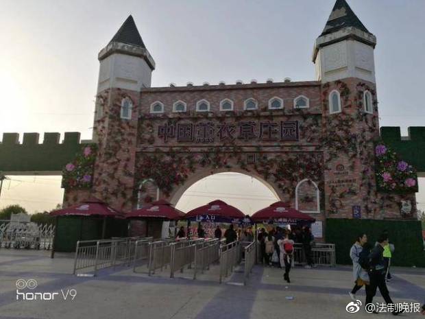  西甲德甲英超轮番称霸！他才是当今教练的天花板