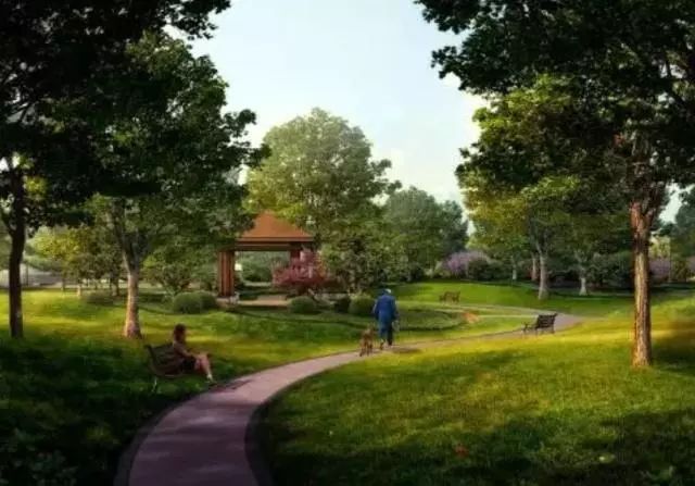 【芬兰】是全国上下爱狗的国家！