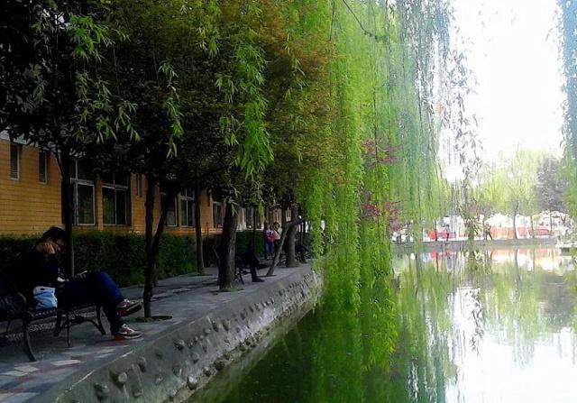 小学必背古诗：村居，清，高鼎