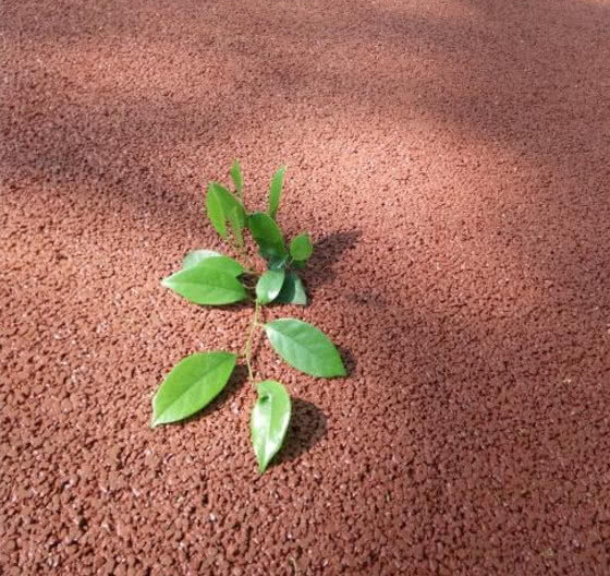 庭院地面别铺地砖，现在流行这样的彩色水泥，坚固耐用还不会积水