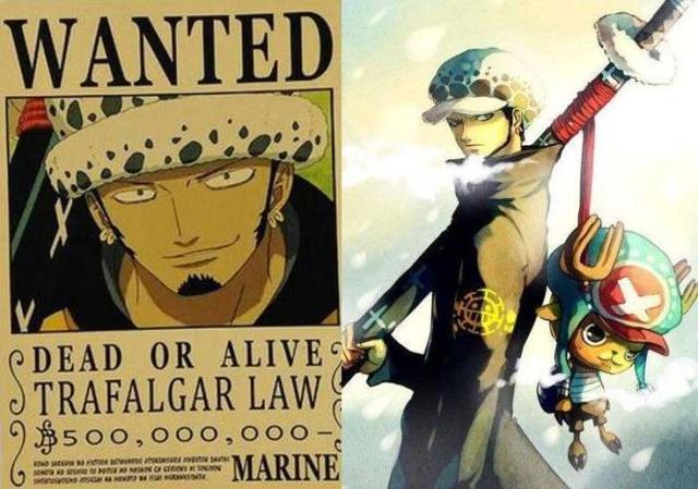 海贼王悬赏排名2020_海贼王所有人的赏金排名(2019)