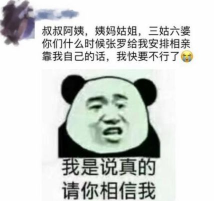 10张