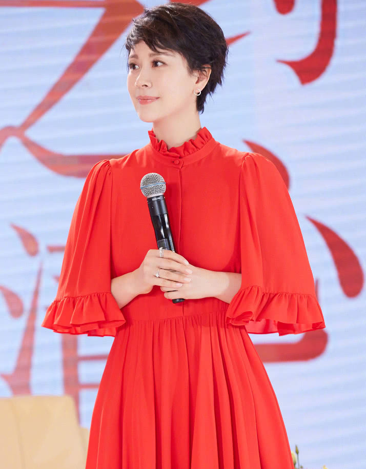 拍戏太忙了?海清活动现场红裙亮相,头发看起来像半个月没洗!