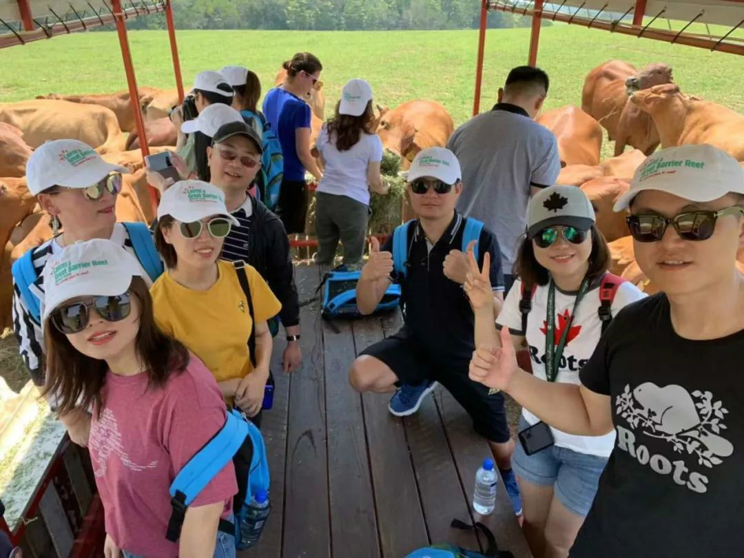 极致热带风情,凯恩斯浪漫会奖旅游