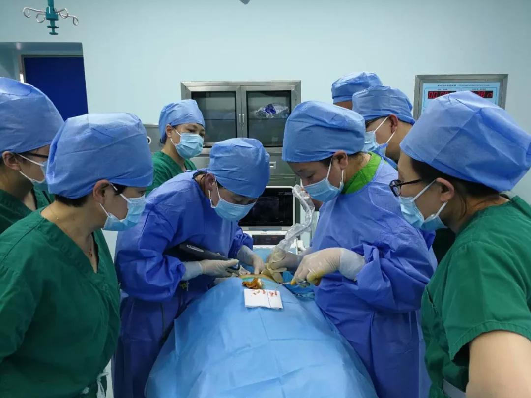 27北京知名乳腺专家在忻州市妇女儿童