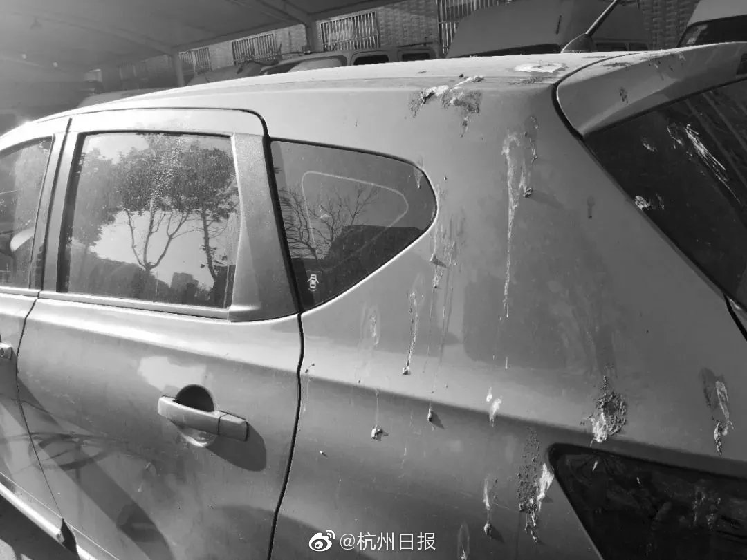 韩国球员踩在脚下的不仅是奖杯