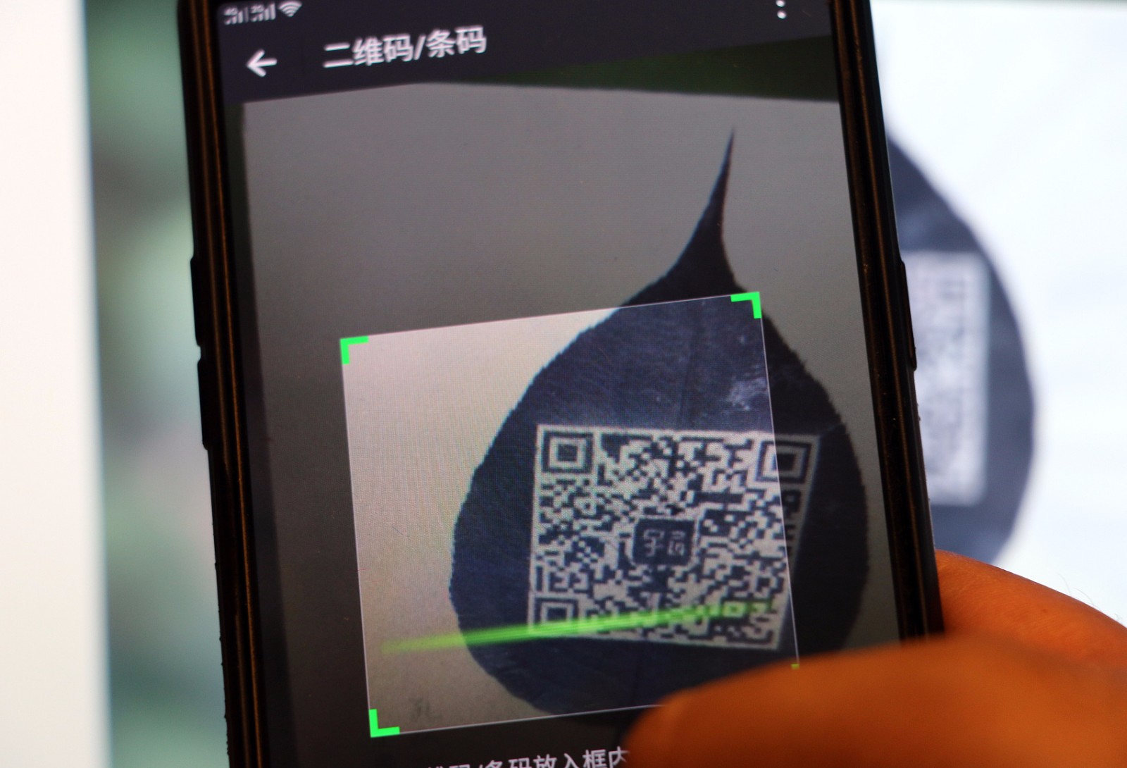 山东雕刻＂牛人＂树叶上刻二维码 扫码成功