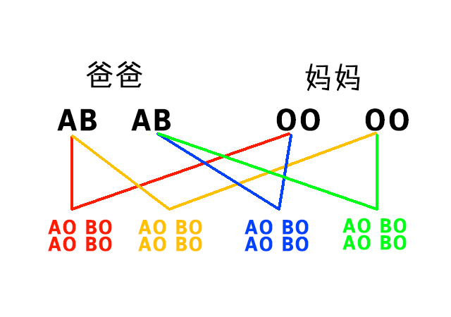 O ab 型 型 O型男子と「A型・B型・O型・AB型」の男女との相性