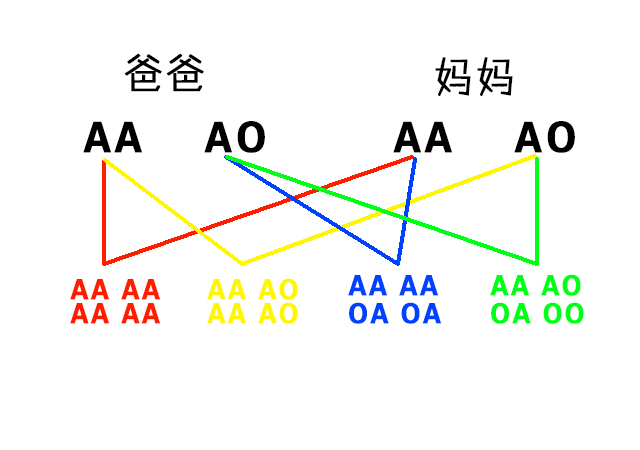 型 型 o ab