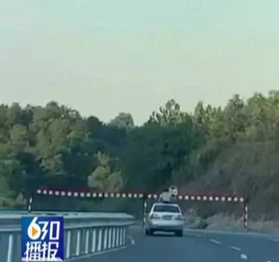 又有人上半身探出天窗 原因惊呆了