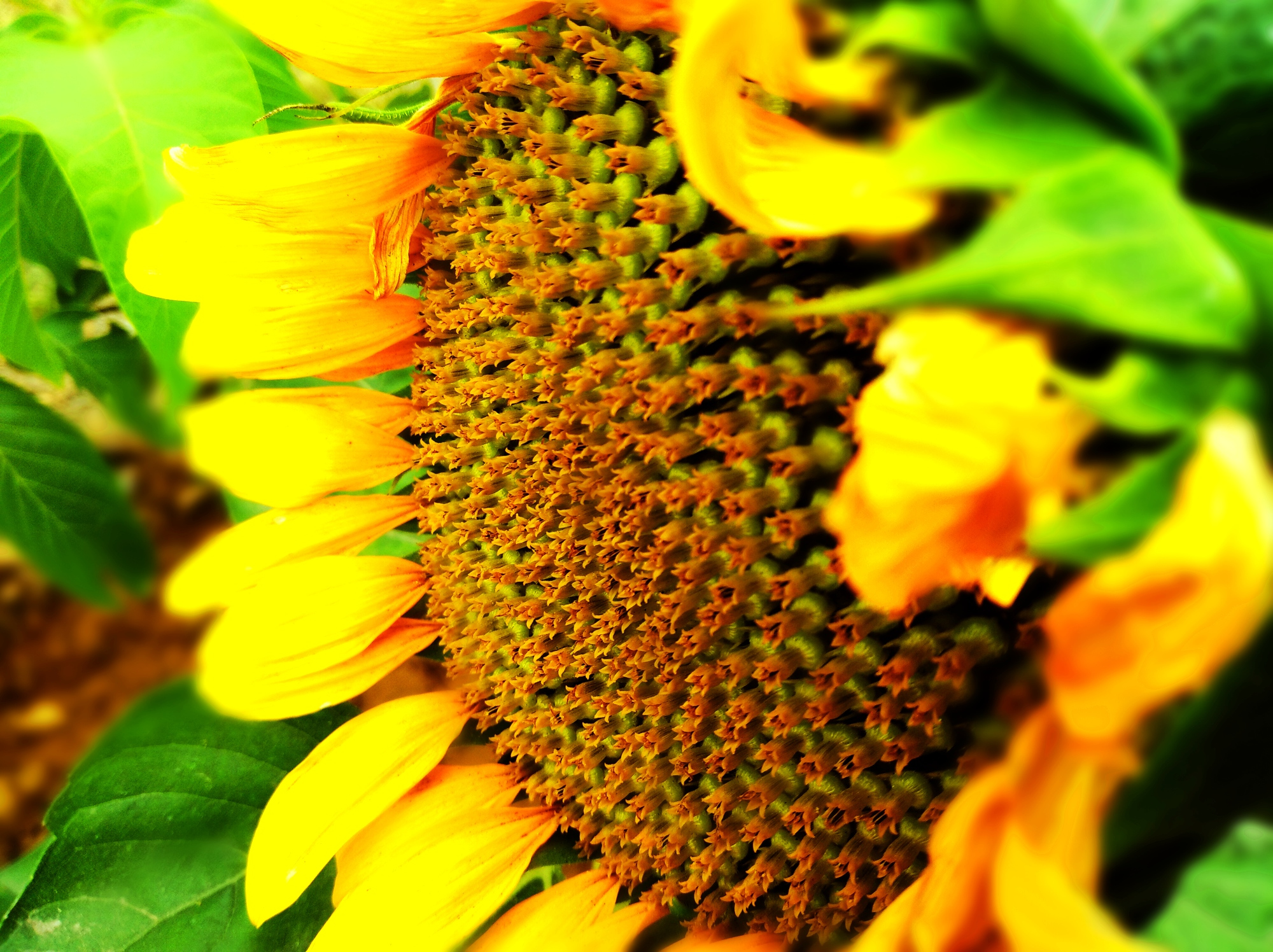 直觉思维和分析思维:是否应相信自己的直觉?...