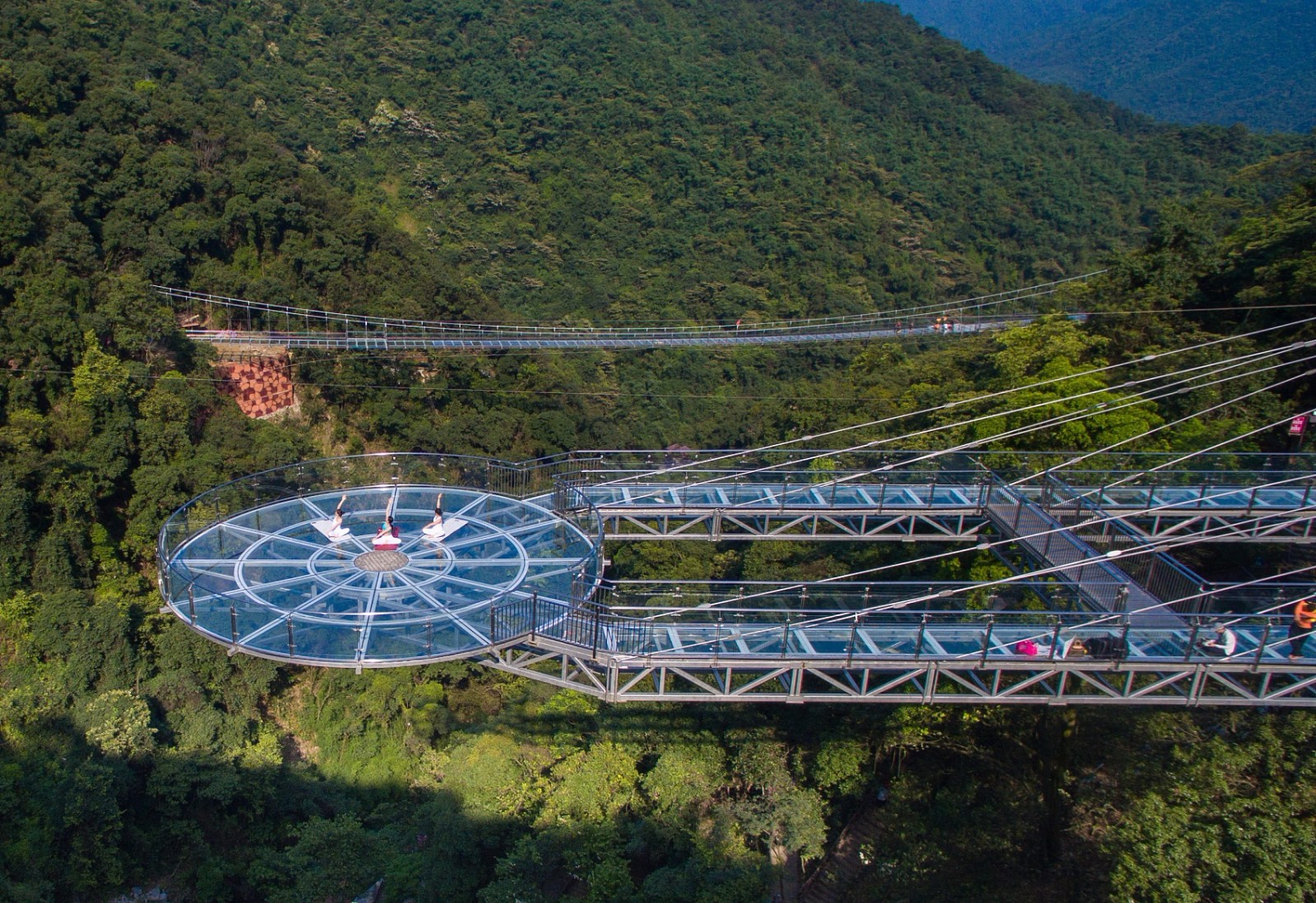 炫酷7D全景玻璃吊桥横跨600亩花海秘境——新都漫花庄园