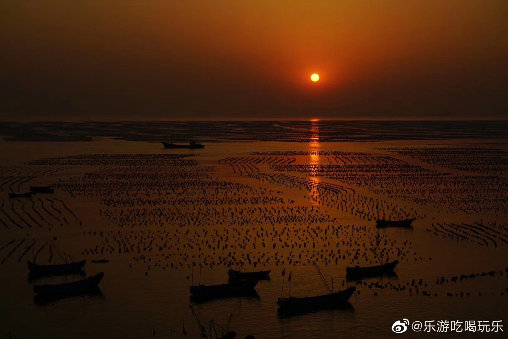 枸杞島完美日落和西洋灣日出??……