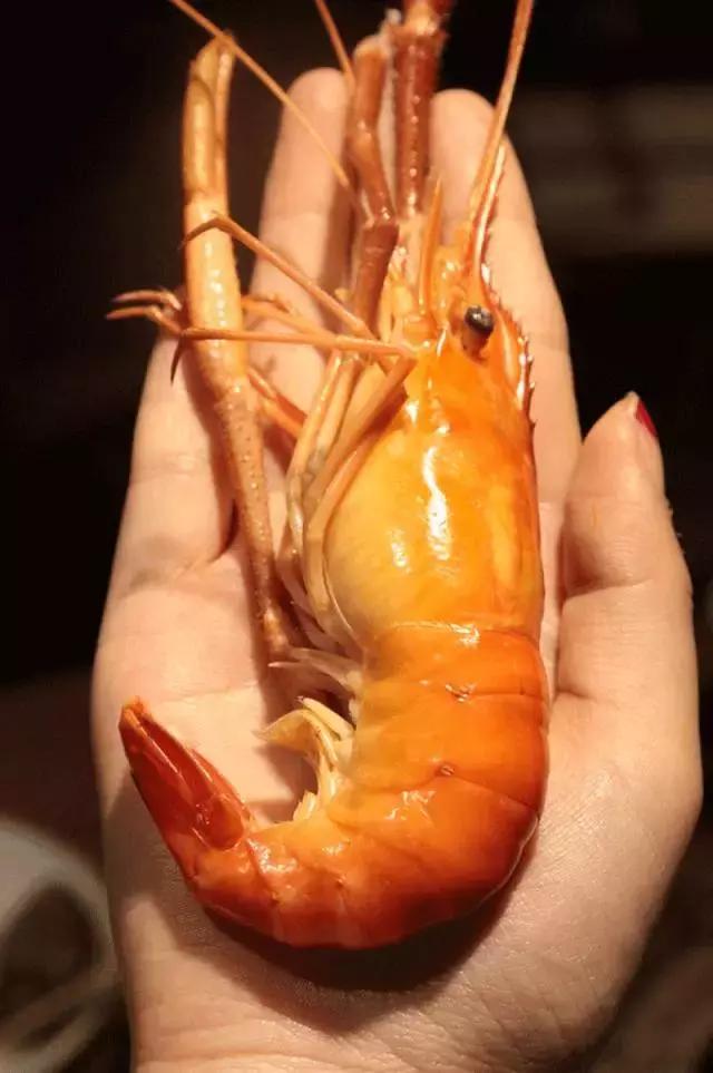 海鲜大拼盘,加辣不加价格!