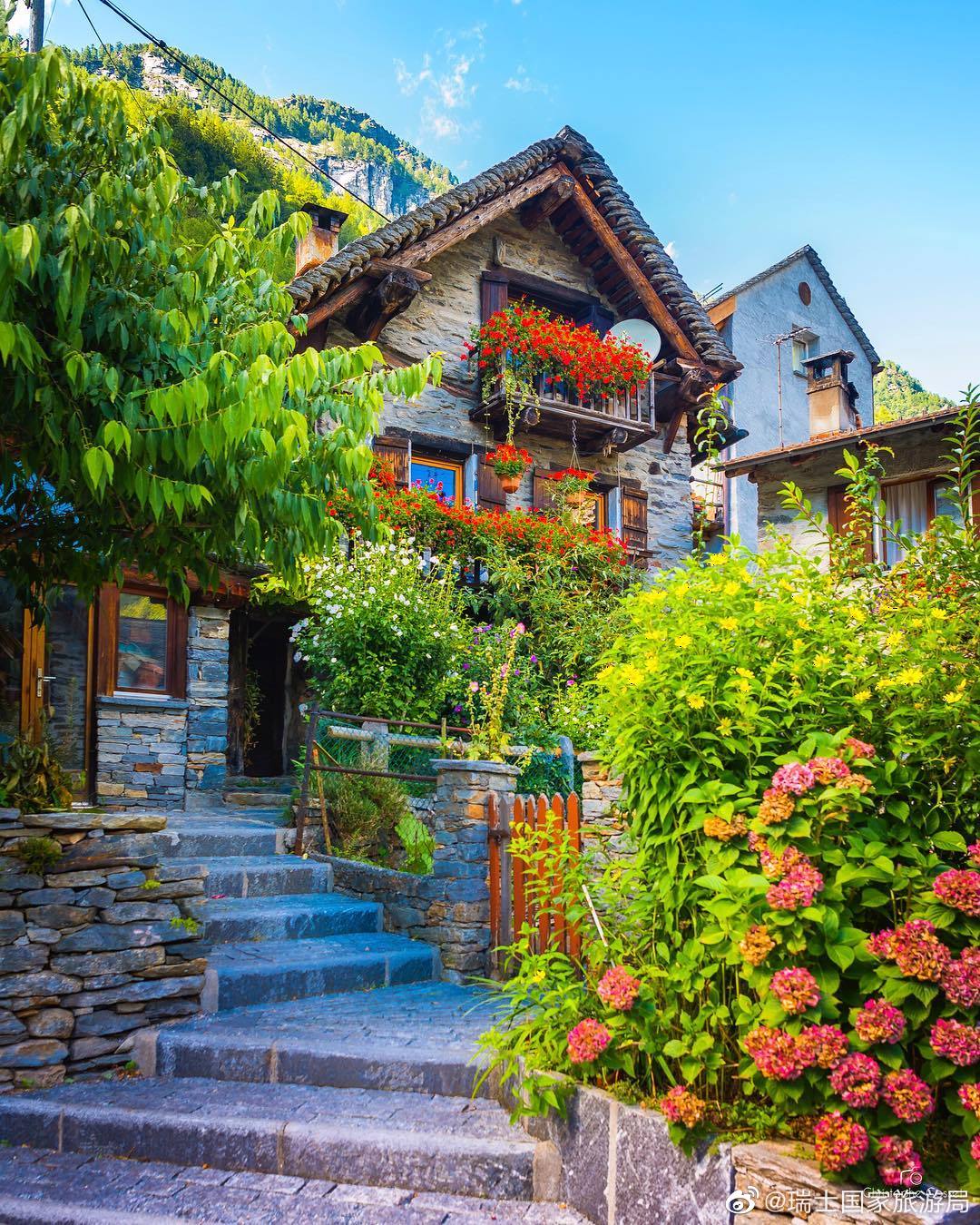 瑞士人宅家收拾花園