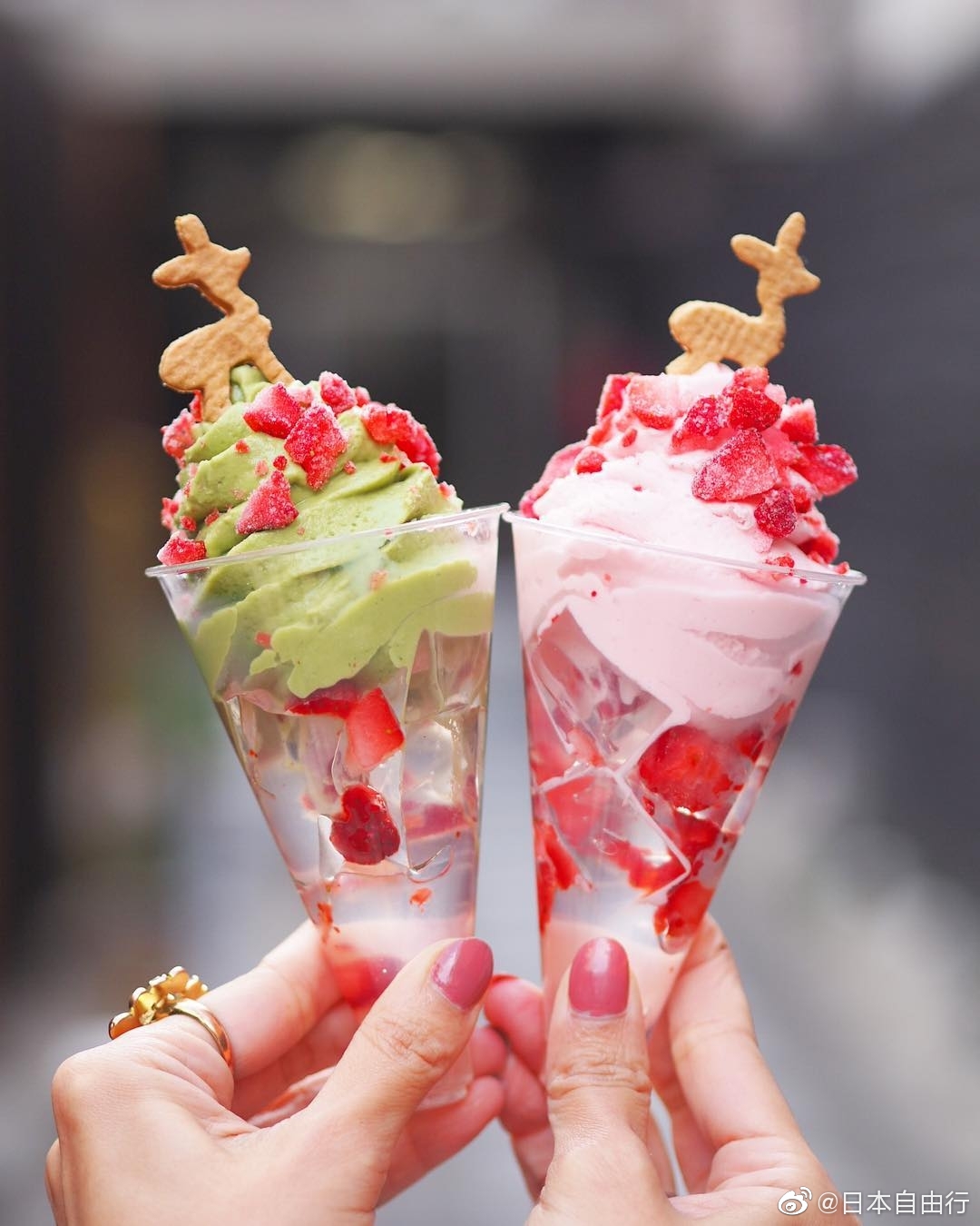 奈良街頭的咖啡和甜品