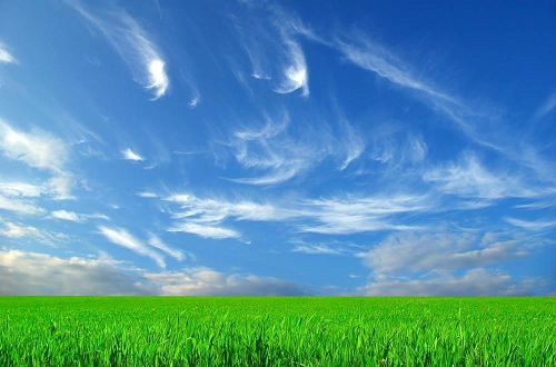 早安心语:当一个不懂爱的人陷入到爱情当中,结