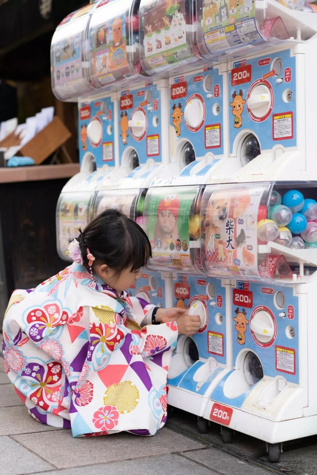 与自动贩卖机在日本街头平分天下的,便是霓虹特产——扭蛋机,无论是