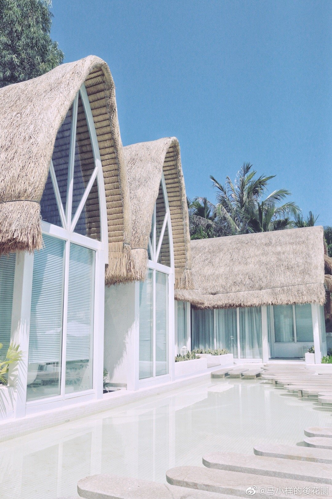 夏日仙氣的網紅民宿 各樣美女在拍照