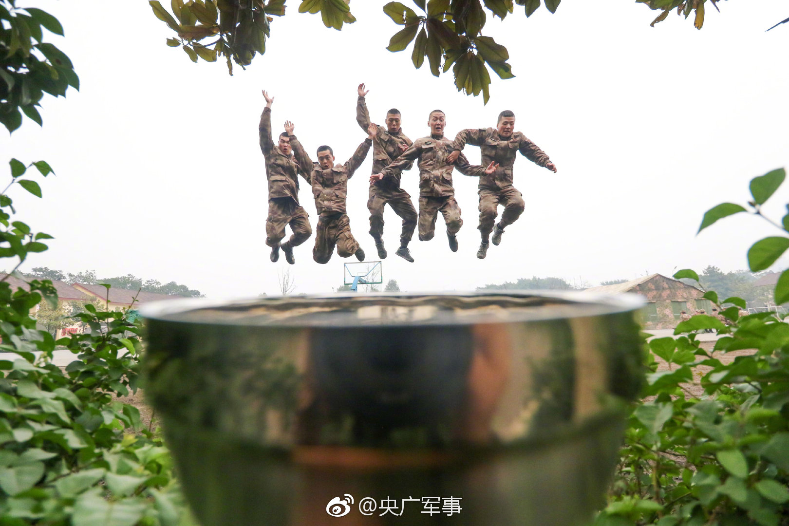 丁禹兮宁理主演悬疑刑侦剧《黑白森林》开播
