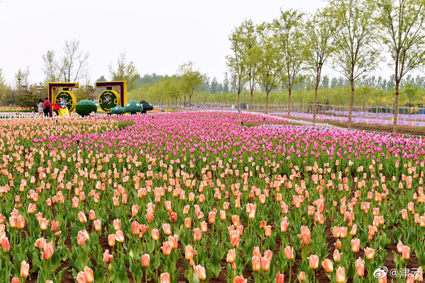 小我豪情经历仳离心灵鸡汤感情文章2024/3/20感情电台题目8个字