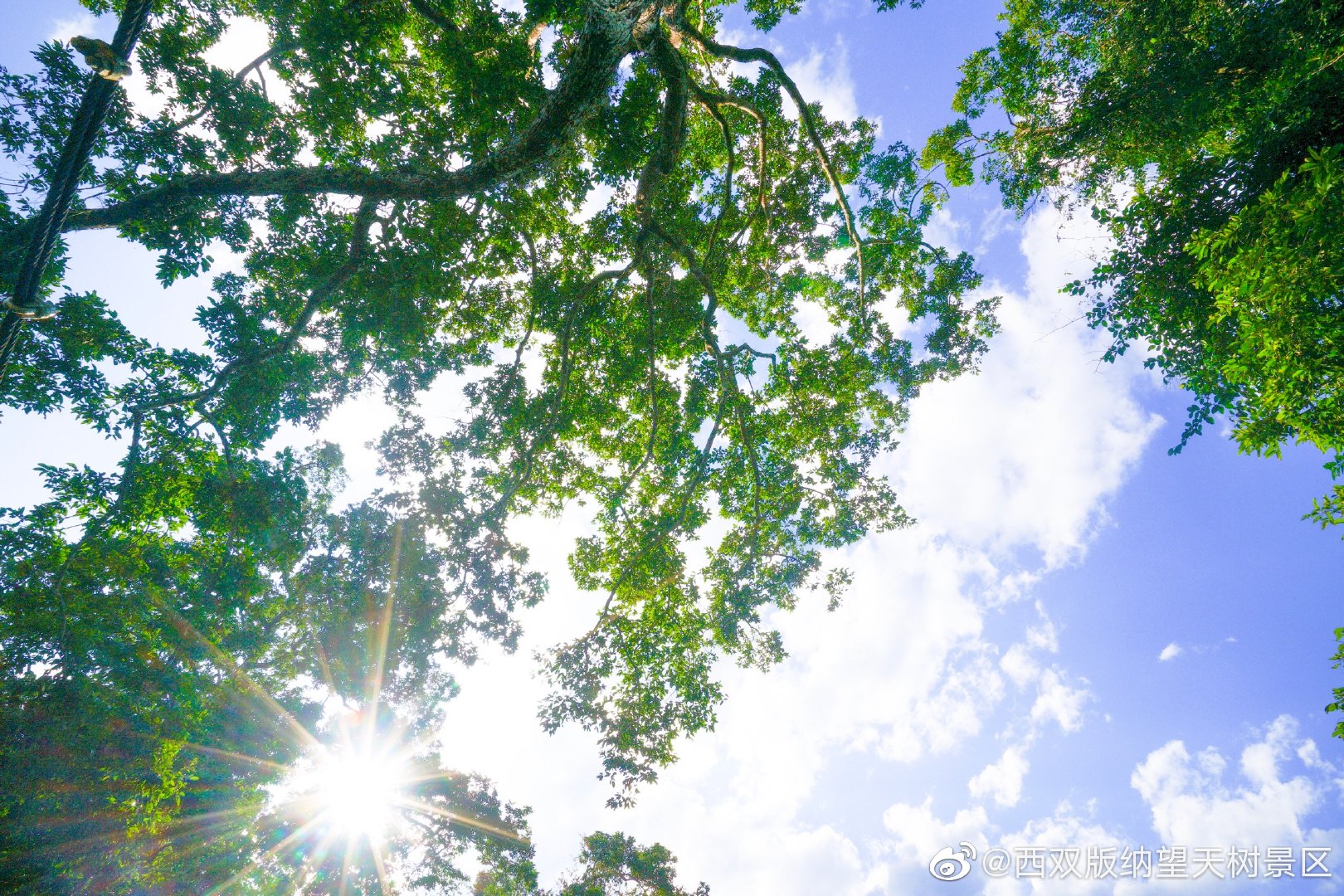 夏至已至 記憶里夏天的樣子