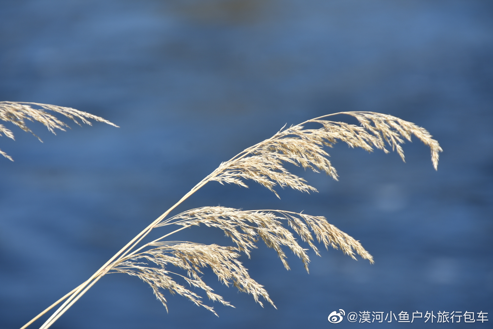 大美黑龍江 秋色正濃時(shí)