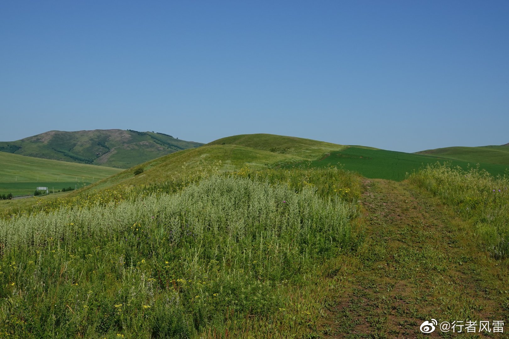 養(yǎng)眼養(yǎng)心大草原