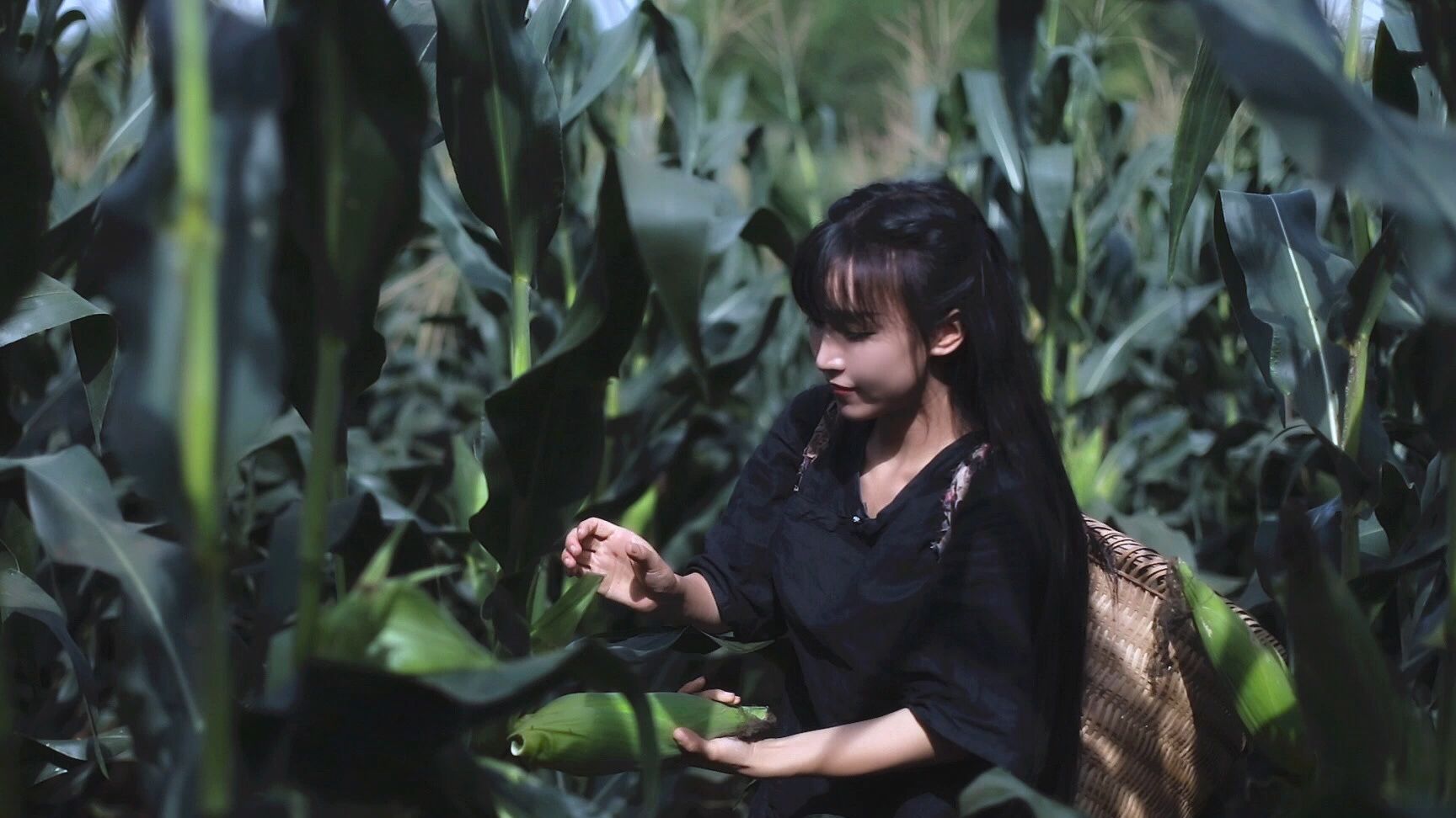 滤镜太可怕?网红美女李子柒在节目中竟成了这个样子!