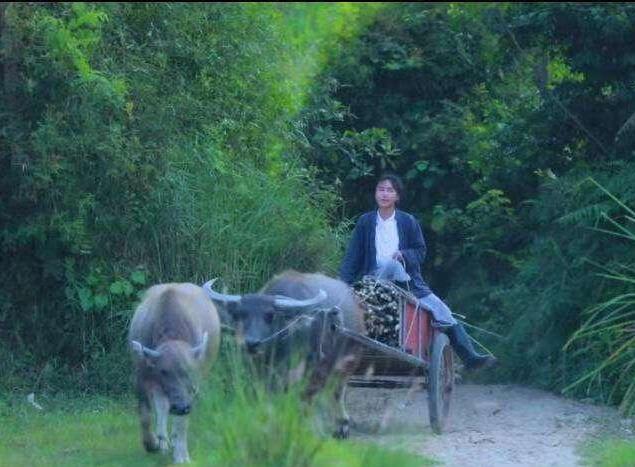 “仙女”李子柒熬红糖,一个小细节被泄露,网友:你有多穷?