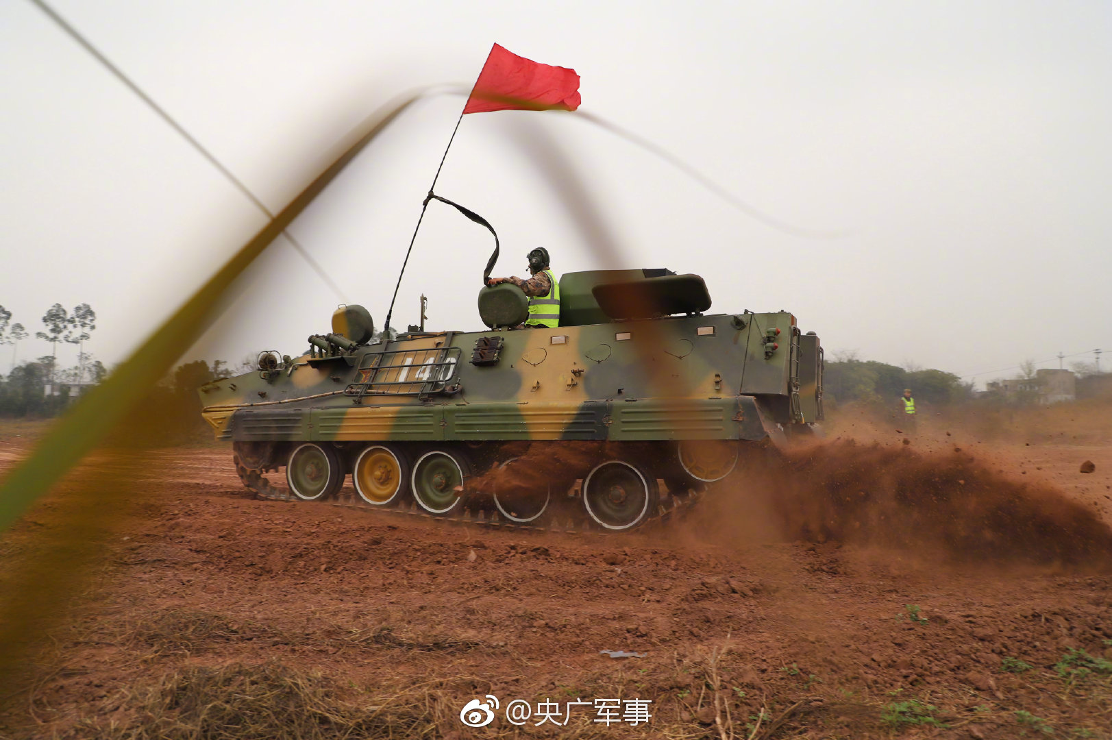 马娘寄是什么梗