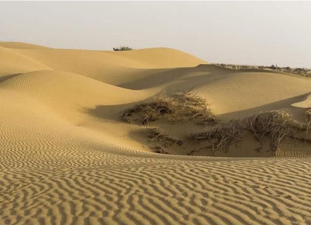 中国为把沙漠变绿洲,建设逆天工程治理沙漠