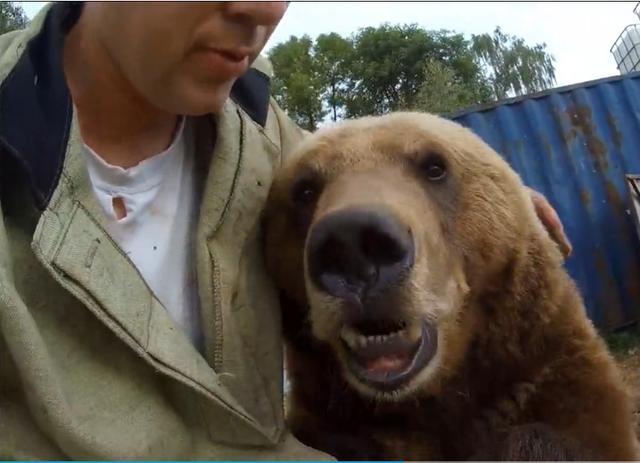 两个俄罗斯人打熊图片