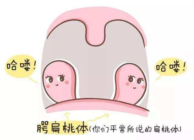宝宝有这几点,宝妈就要留意了,宝宝扁桃体可能发炎了!