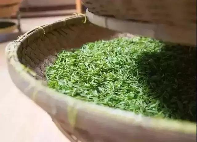 四明山独产的瀑布茶上线了，点击获取本季新茶！