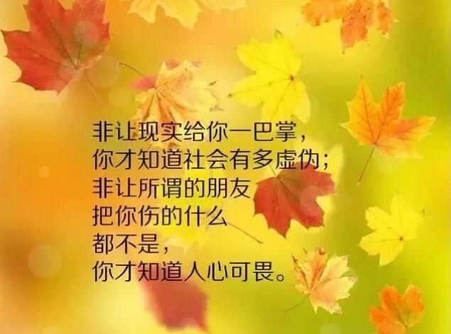 2019经典语录