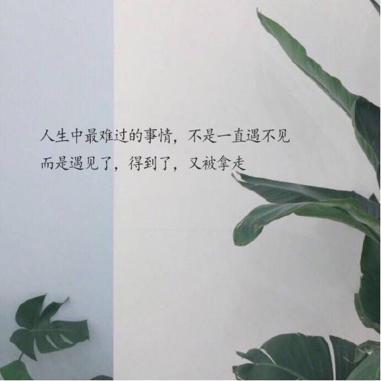 从来都没欠过谁 但总是这么狼狈