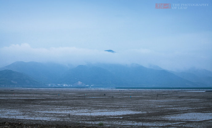 暑假旅游旺季遇到禁渔期,海鲜怎么吃有讲究