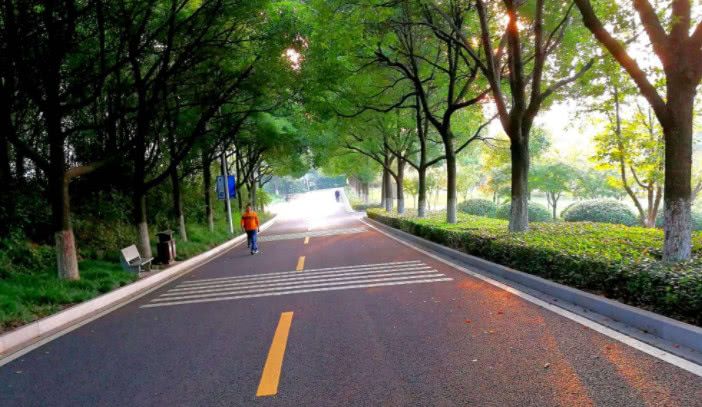 全国最干净的南方城市,卫生环境碾压日本,人均gdp高达20万