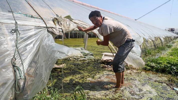 十大品牌策划公司上海沪琛品牌营销策划:中国