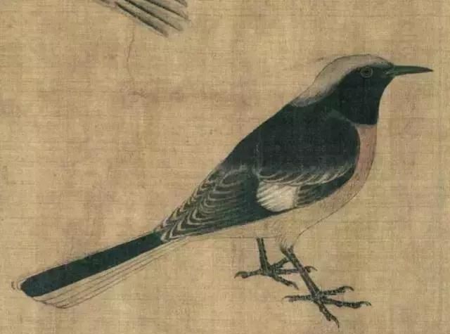 黄筌《写生珍禽图卷》，惟妙惟肖