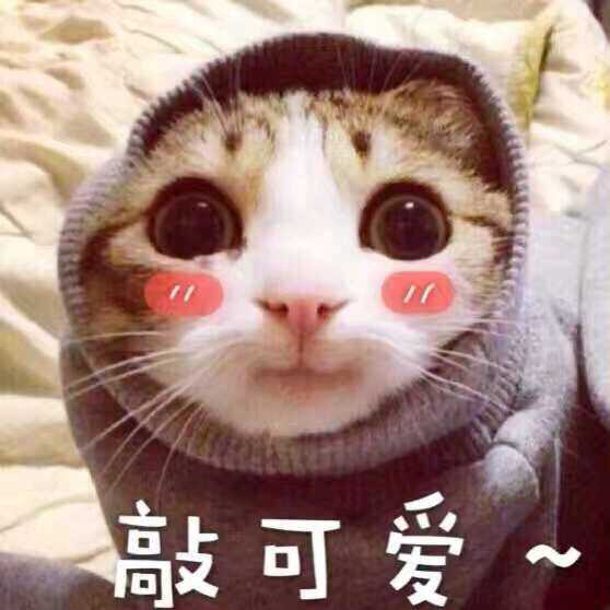 (价值观、人生观、世界观)用英语怎么说?