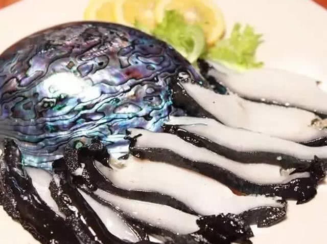 新西兰特产的黑色鲍鱼,一口就要上千块,吃过