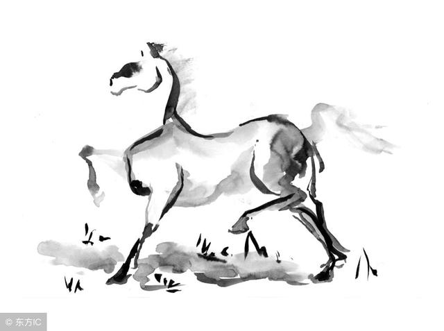 生肖属相运势--属马2019年运势前瞻